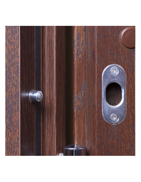 Vidaus įėjomo durys "B-30"