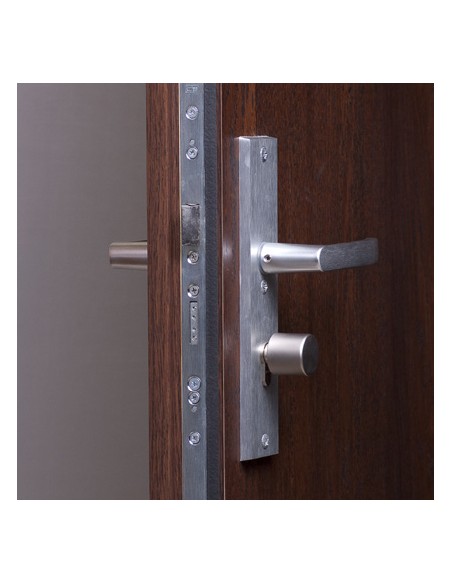 Vidaus įėjomo durys "B-30"