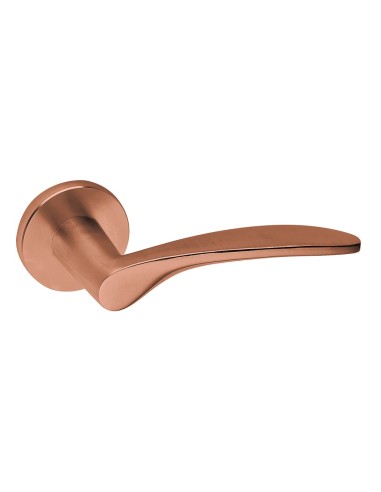 Handles "JNF IN.00.069"