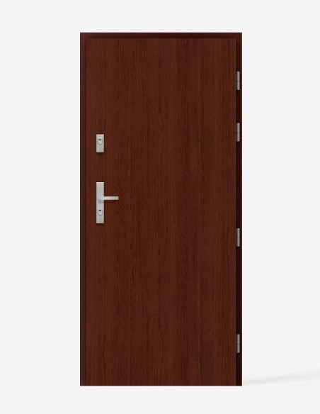 "SATURN V00" Lauko durys