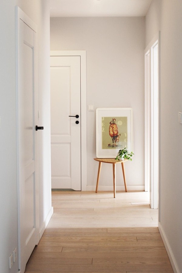 Vidaus durys "NESTOR 10"