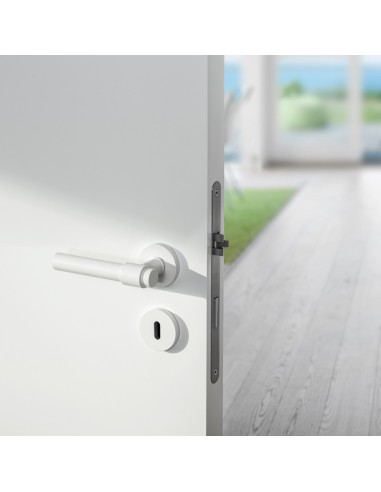 Handles "JNF IN.00.145.B"