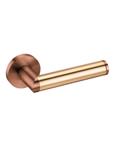 Handles "JNF IN.00.451"