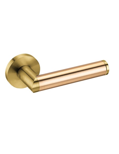 Handles "JNF IN.00.451"