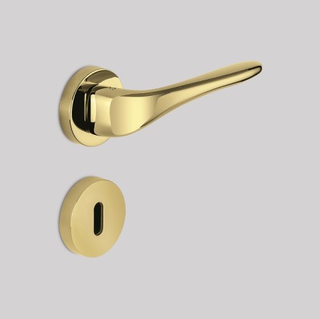 Rankenos "COLOMBO Madi AM31"