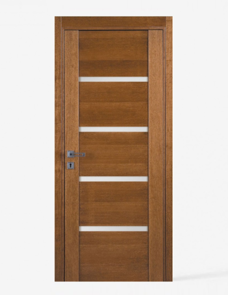 "PASSO W05" Vidaus durys