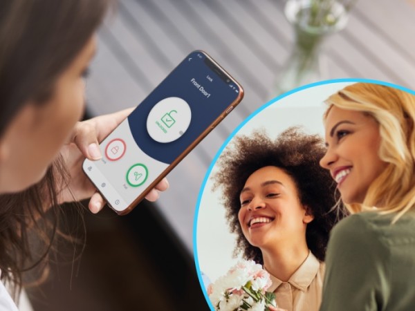 TEDEE PRO smart lock set "Scandi...