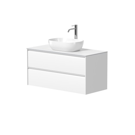 Spintelė "MOON" su "HPLCompact" stalviršiu ir pastatomu "OVALO" praustuvu