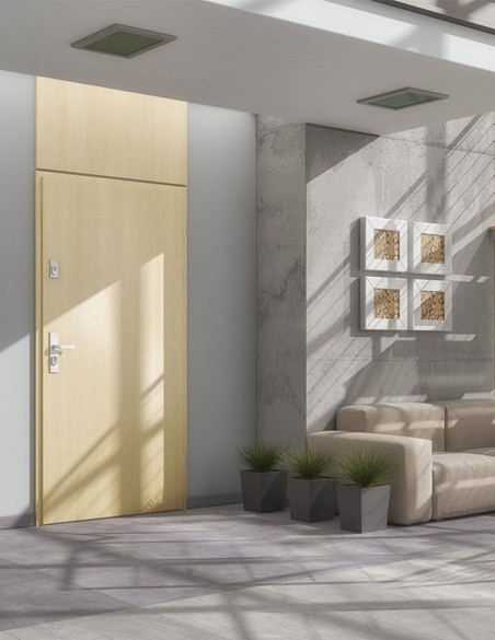 Vidaus įėjomo durys "B-30"