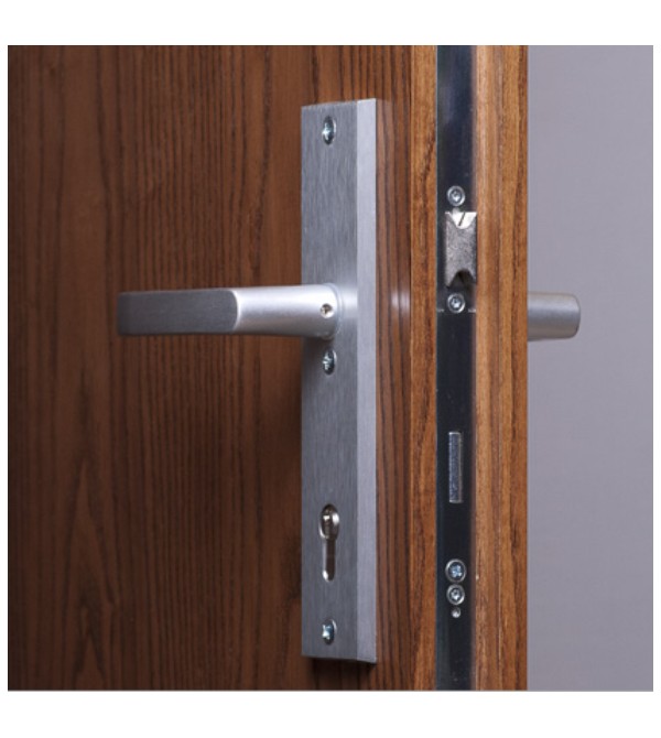 Vidaus įėjomo durys "RC3"