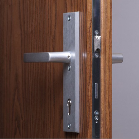 Vidaus įėjomo durys "RC3"