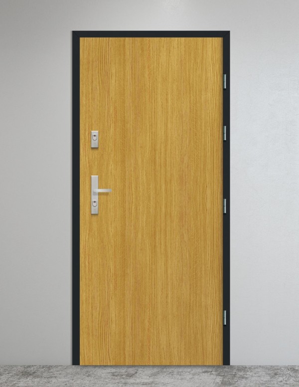 Vidaus įėjomo durys "RC3 INVEST" | Metalinė stakta