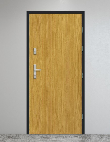 Vidaus įėjomo durys "RC3 INVEST" | Metalinė stakta