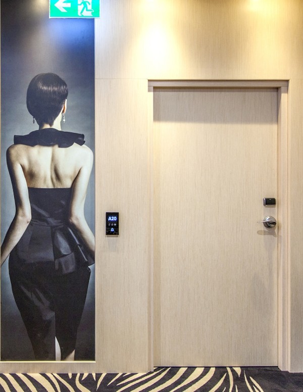 Fireproof internal door "FR EI30 SR 42 DM"