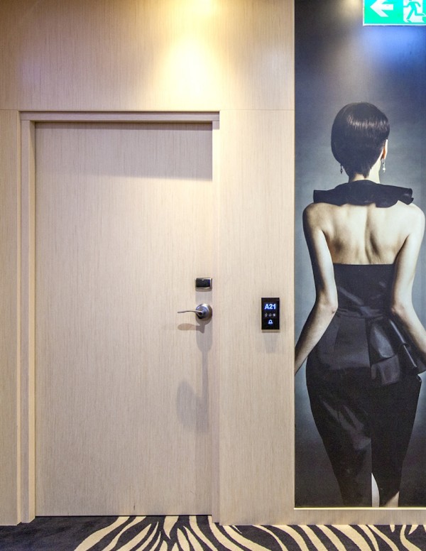 Fireproof internal door "FR EI30 SR 42 DM"