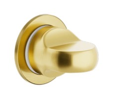 WC thumbturn "DND 2413" 2