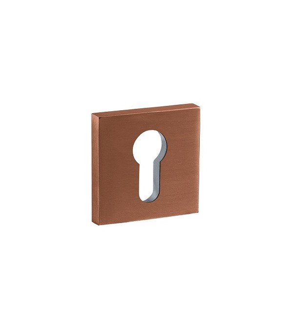 Key covers "JNF PZ IN.04.29Q.Y08N"