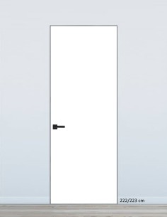 Concealed door "HARMONY" 222/223 cm Painted